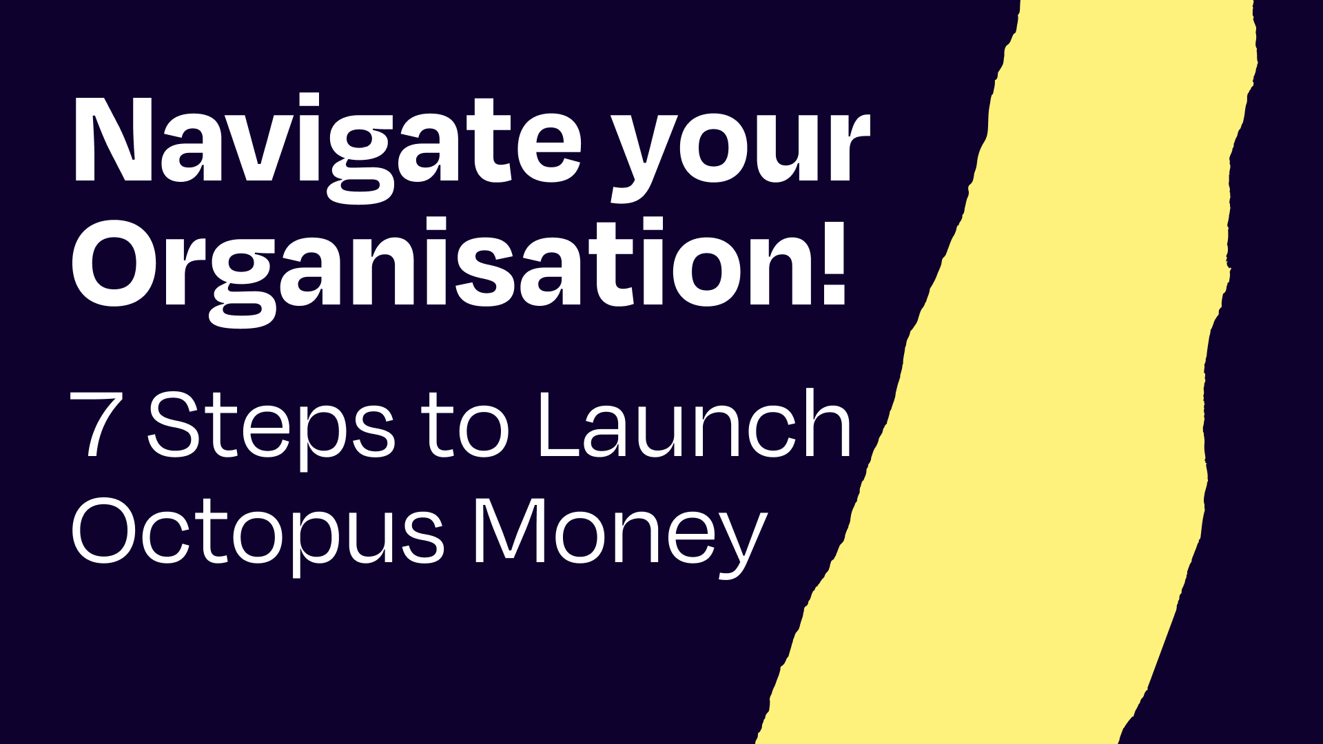 Navigate your organisation and get Octopus Money approved, signed and launched quickly! 